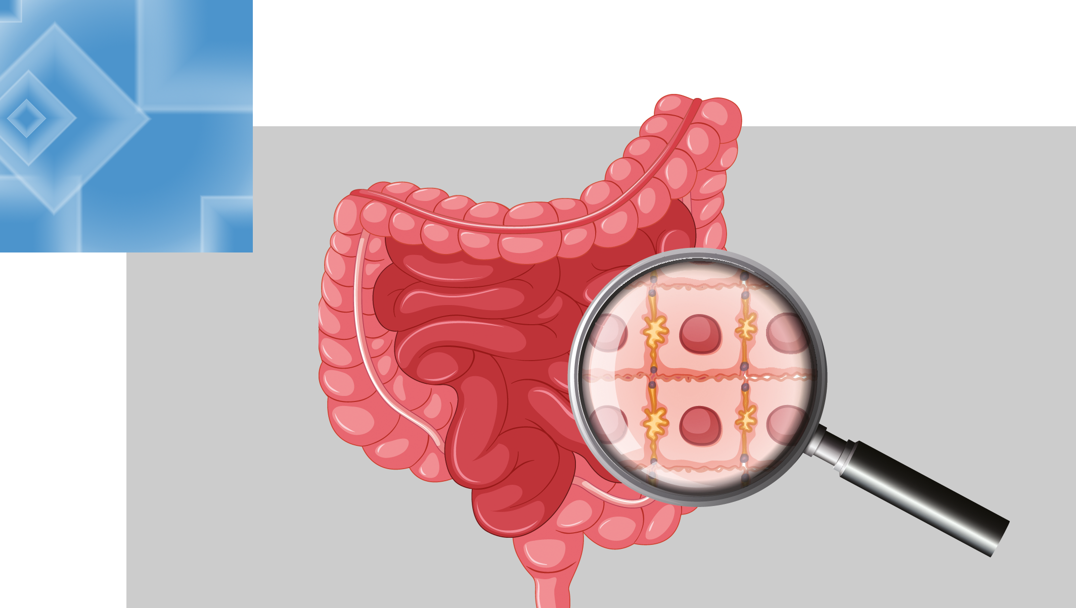 intestines
